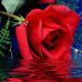 Celia Alexander - Facebook