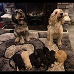 Celia Loftus Allen - @celia_allen333 - Instagram