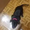 Cecelia Burke - @cecelia.burke - TikTok