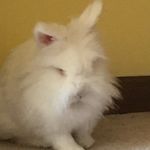 celia burke - @justabittoasty - Instagram