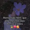 celia - @celiacenteno590 - TikTok