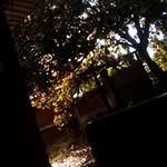 Maria Celia Centeno Ruano - @mariaceliacentenoruano - Instagram