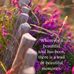 Celia Chandler - Facebook