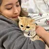 celiachien6 - @celiachien6 - TikTok