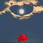 Celia Cobos - Facebook