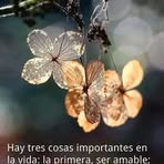 Celia Estrella - Facebook