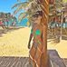 Celia Holder - Facebook