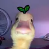 celia - @celia.holly - TikTok