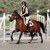 Célia Holley - @celia_hly - TikTok