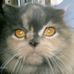 Celia Holmes - Facebook