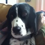 Celia Howell - @celiahowell - Instagram