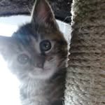 Celia Mathis Richard - @celiamathisrichard - Instagram