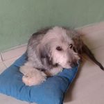 Celia Muller - @celia.muller.52090 - Instagram