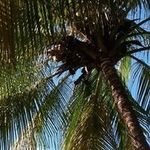 Celia Barnett-Peterson - @barnettpeterson - Instagram