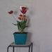 Celia Ponce - Facebook