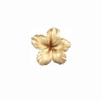 Celia Rivera - Facebook