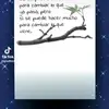 celia24 - @celiarosado22 - TikTok