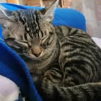Celia Rosado - Facebook