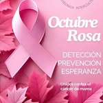 Celia Rosado Sanchez - @celiarosadosanchez - Instagram