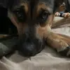 Cecelia Roth - @cecelia.roth24 - TikTok