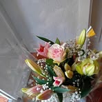 Celia Ryan - Facebook