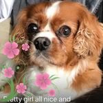 Celia Swain - @celiaswain64 - Instagram