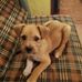Celia Vera - Facebook