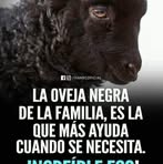 Celia Walker - Facebook