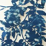 Celia Walker - @celiawalkerprint - Instagram