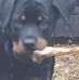 Celia Wilson Wilkinson - Facebook