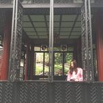 Celia Young - @celia__young - Instagram