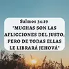 Celina Castillo - @celina.castillo5 - TikTok