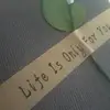 celina - @celinacastillo_ - TikTok