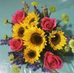 Celina Guardado Torres - Facebook