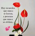 Celina Moreno - Facebook