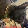 Celina Ramirez - @celinaramirez96 - TikTok