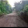celina Ramirez - @celina.ramirez50 - TikTok
