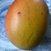 Celina Ramirez - @celina.ramirez10 - TikTok
