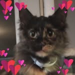 Celina Delmont Roberts - @bean_budgetbabe - Instagram