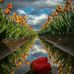 Celina Serrano - Facebook