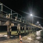 Celina Vital - @celinavital5 - Instagram