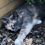 @celina_walter22z4 - Instagram