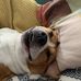 Celine Warner - Facebook