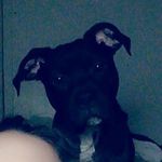 Celina Emily - @celinawilhelm3975 - Instagram