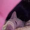 Celina - @celina_zarate - TikTok