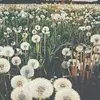 Celina.zarate - @celina._zarate - TikTok
