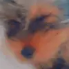 Celinda Peña - @celinda676 - TikTok