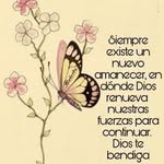 Celinda Sanchez - @celinda.sanchez.3745 - Instagram