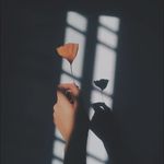 Celine - @celine.ali__ - Instagram