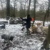 celinebrieallard - @celinebrieallard - TikTok
